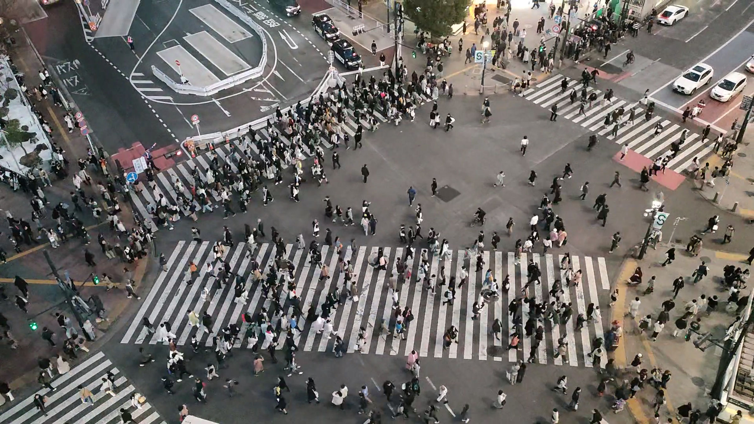 Shibuya Crossing